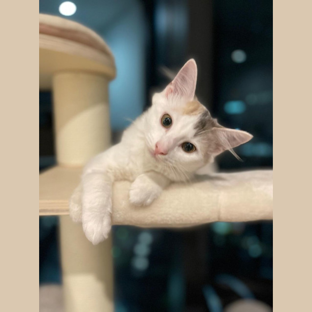 Photo of Olivia