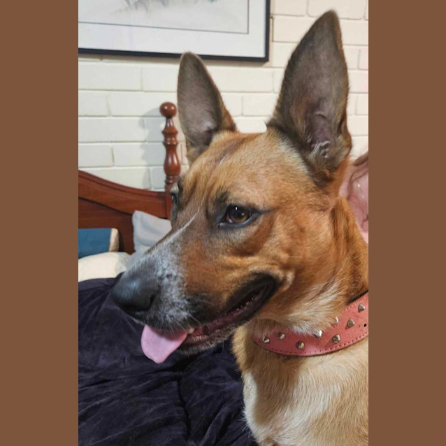 Photo of Bonnie