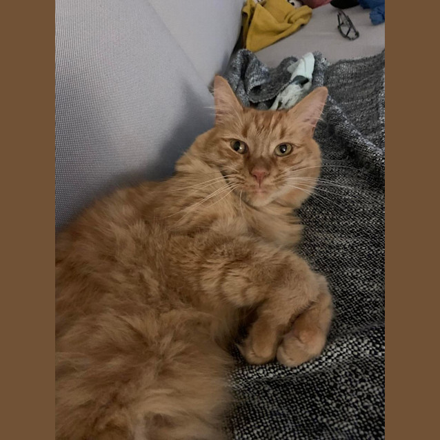 Photo of Barbra Stray Sand