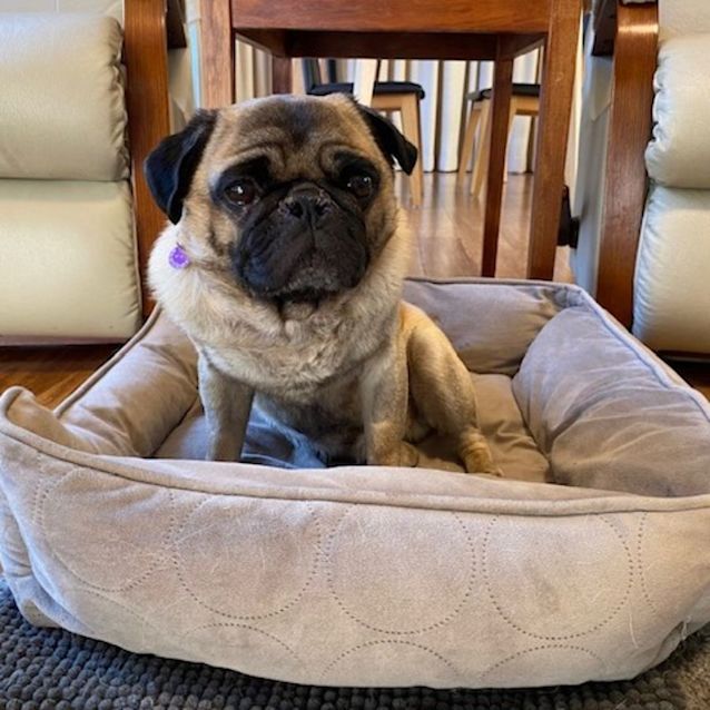 Photo of Cheerful Charlie