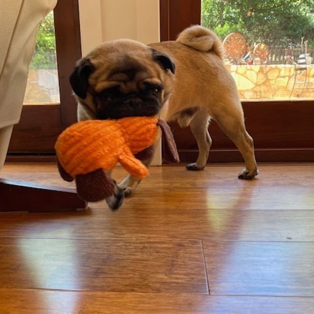 Photo of Cheerful Charlie