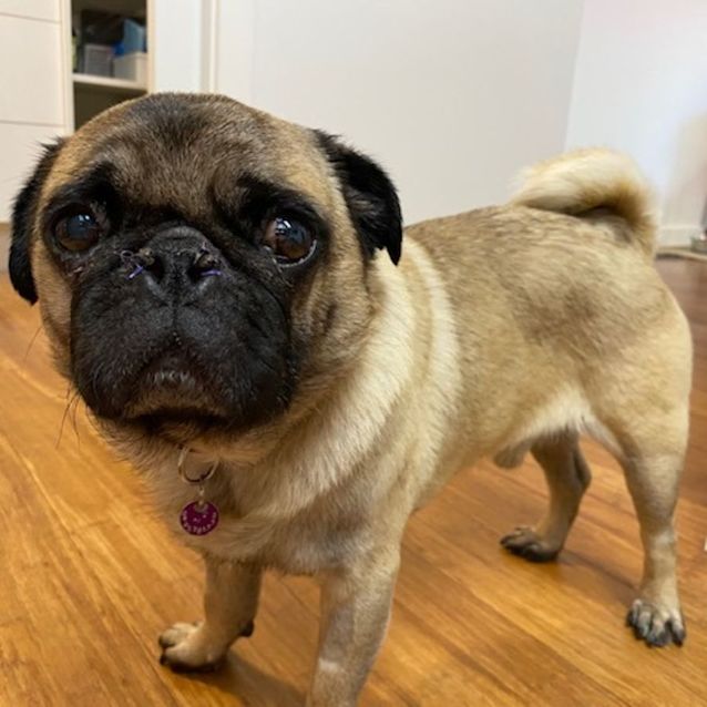 Photo of Cheerful Charlie