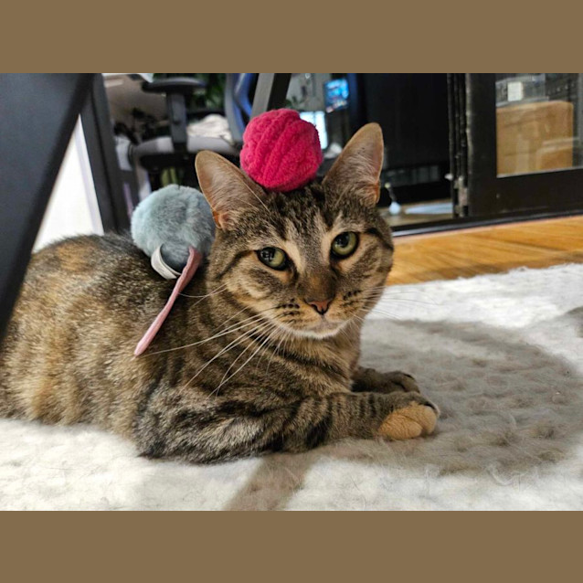 Photo of Hazel