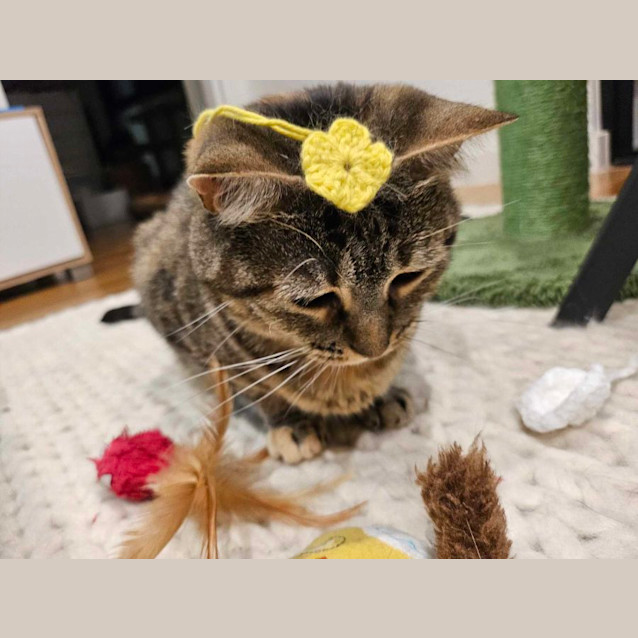 Photo of Hazel