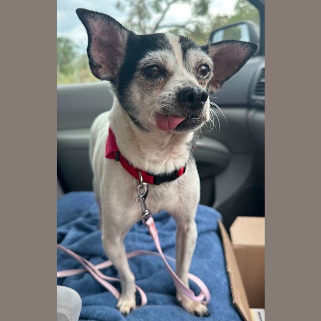 Photo of Little Charlie 