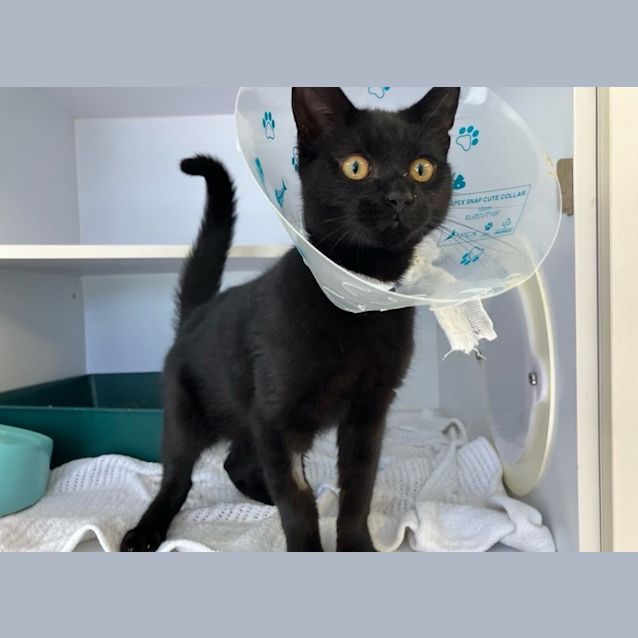 Photo of Specky