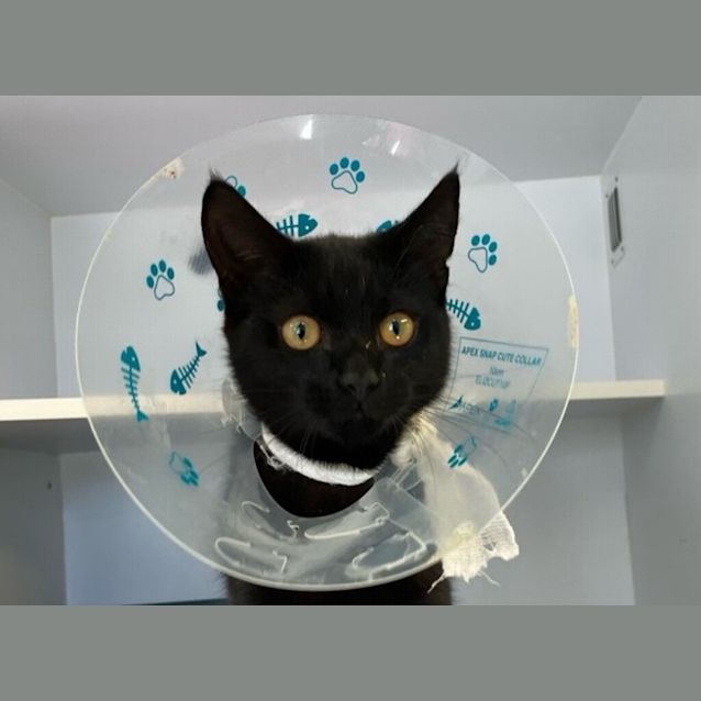 Photo of Specky