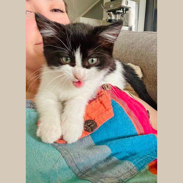 Photo of Jujubee 🐝🐝🐝