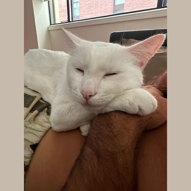 Photo of Luca And Coco