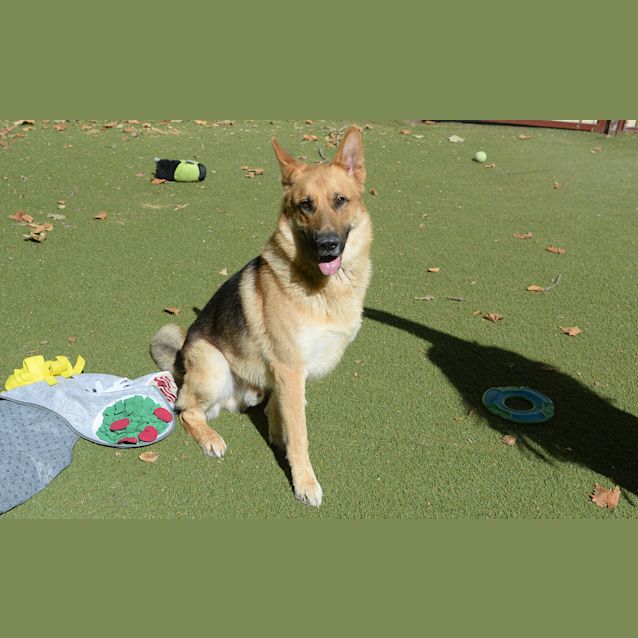 Photo of Hunter