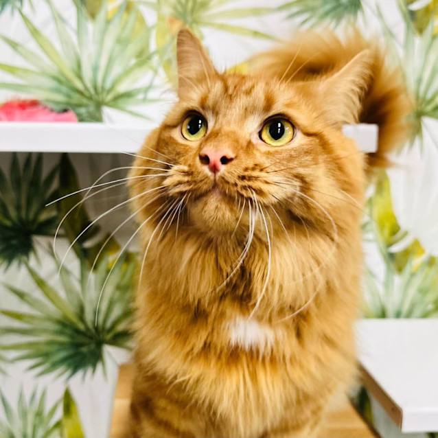 Photo of Brayden & Taylor   Located In Preston