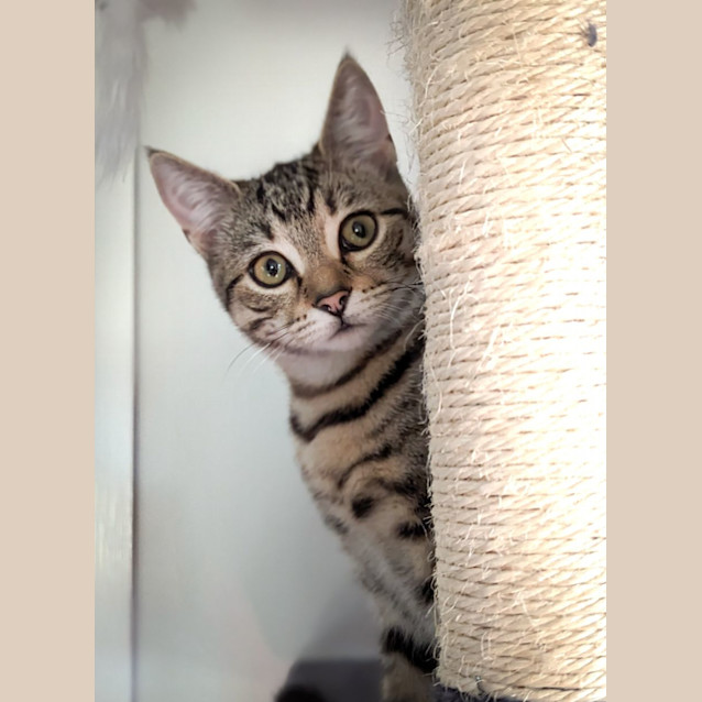 Photo of Alice