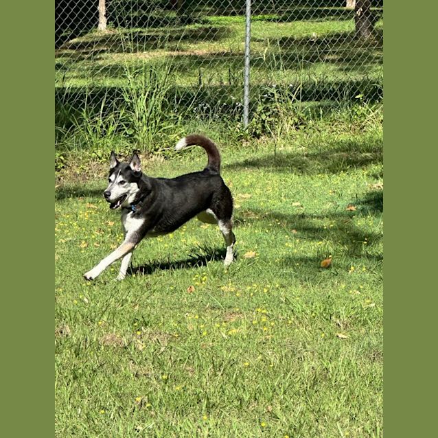 Photo of Whiskey Jack