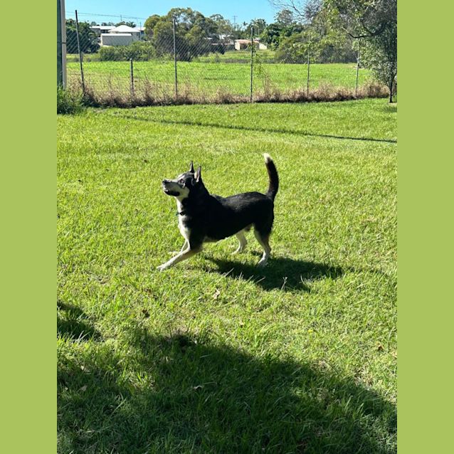 Photo of Whiskey Jack