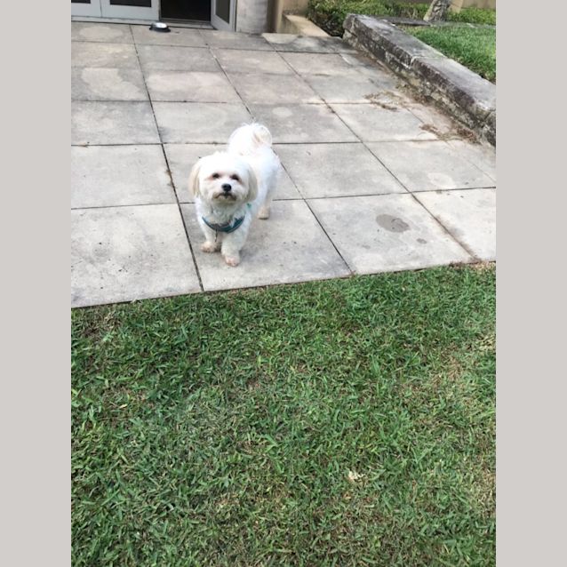 Photo of Josie And Bailey