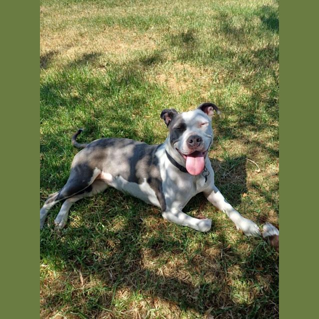 Photo of Leila 🌻