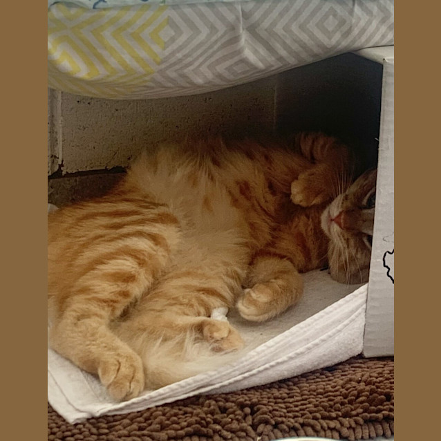 Photo of Switch