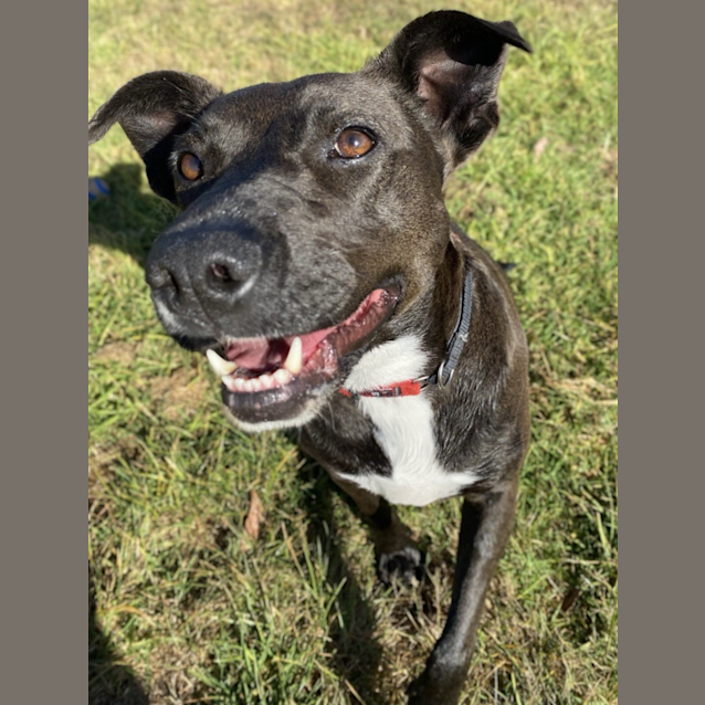 Photo of Roxy