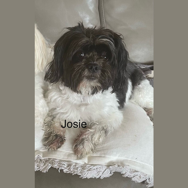 Photo of Josie And Bailey