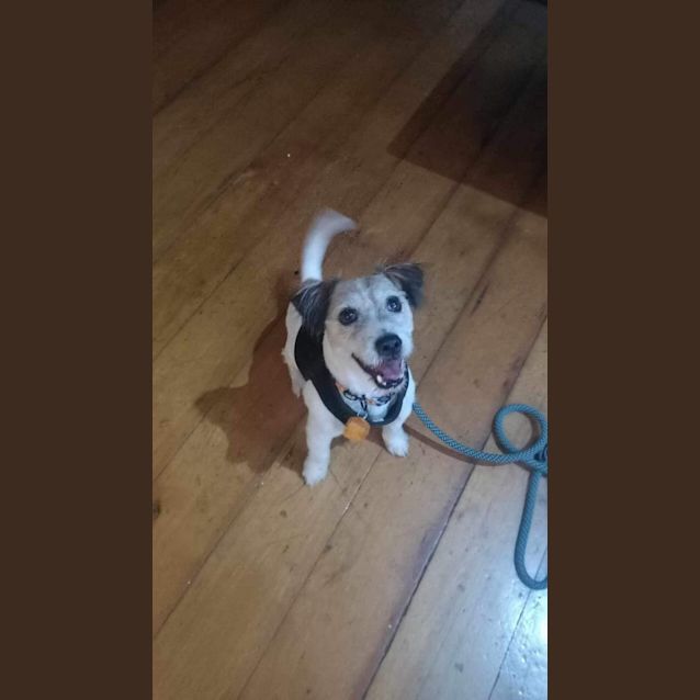 Photo of Jack Little 