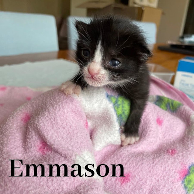 Photo of Emmason