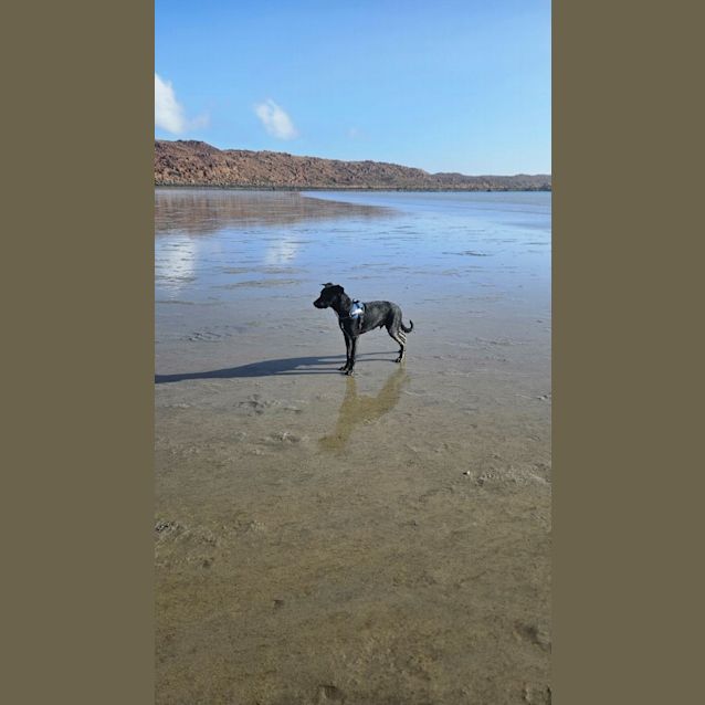 Photo of Duke Aka Shadow