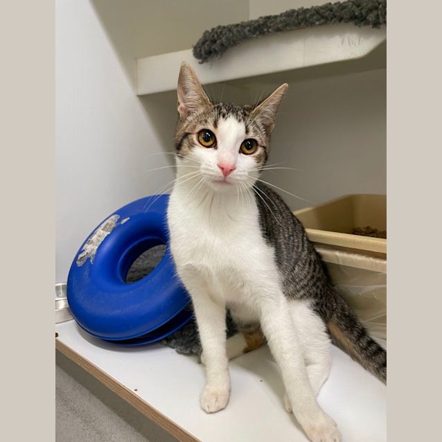 Photo of 🥨 Beatrix F02783 🥨