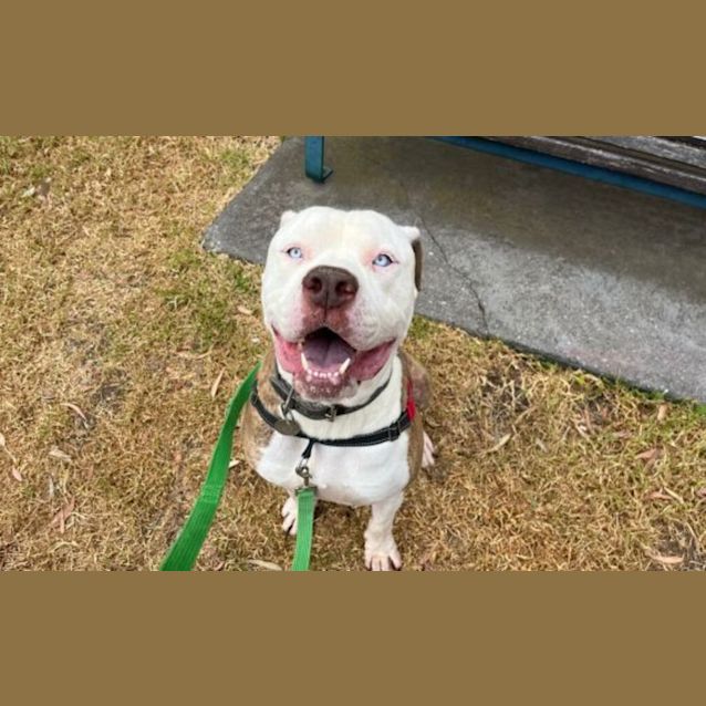 Photo of Roscoe