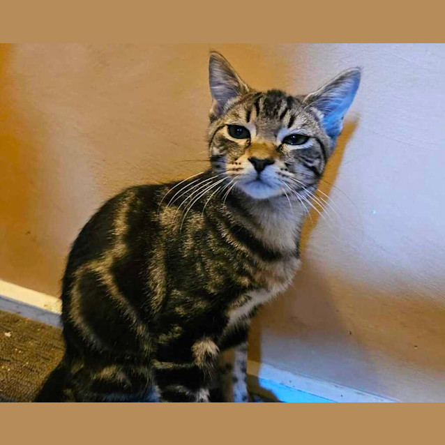Photo of Malbec
