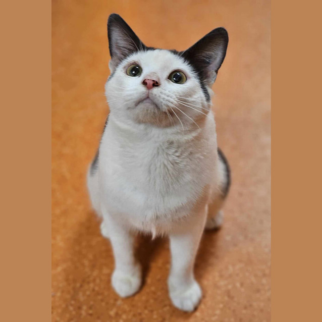 Photo of Blizzard