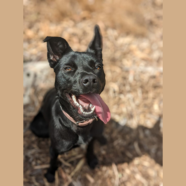 Photo of 🌀 River 5093 🌀