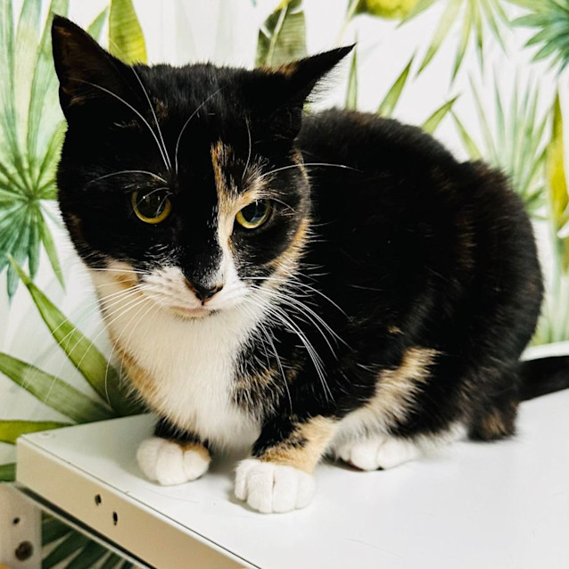 Photo of Taylor   Located In Preston