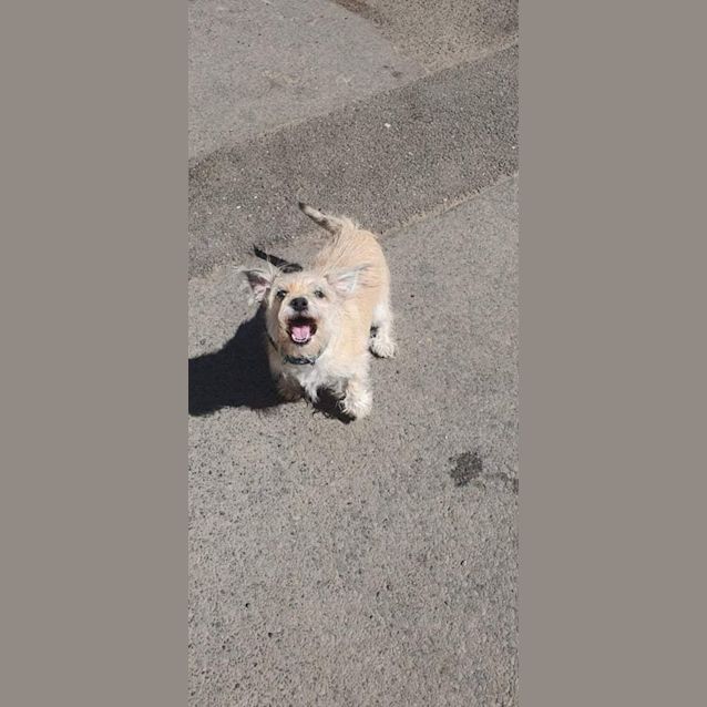 Photo of Bernie