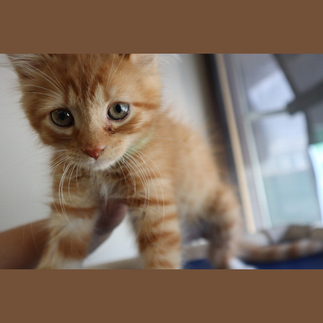 Photo of Finny