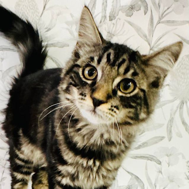 Photo of Allee   Located In Brunswick West