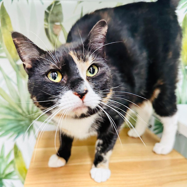 Photo of Taylor   Located In Preston