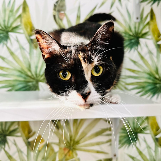 Photo of Taylor   Located In Preston