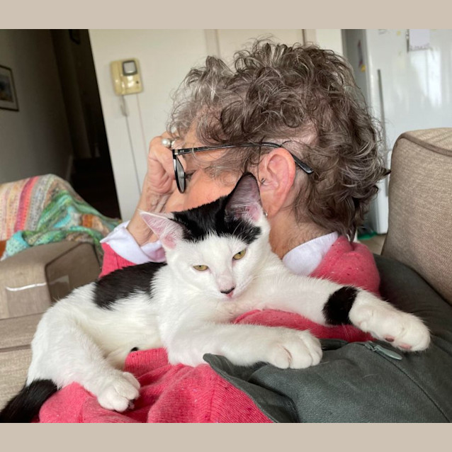 Photo of Portia   Located In Northcote