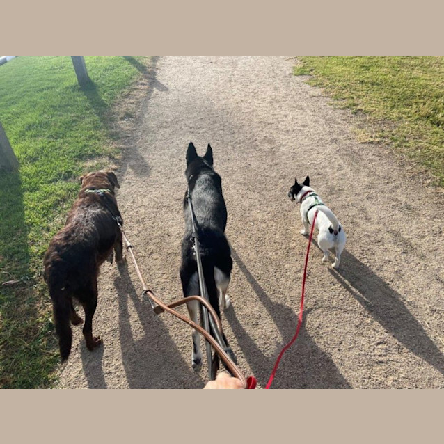 Photo of Wally Yarbury