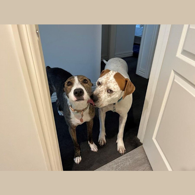 Photo of Vincent Whistledown