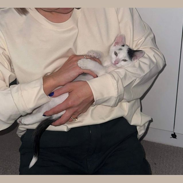 Photo of Patches & Pepper 