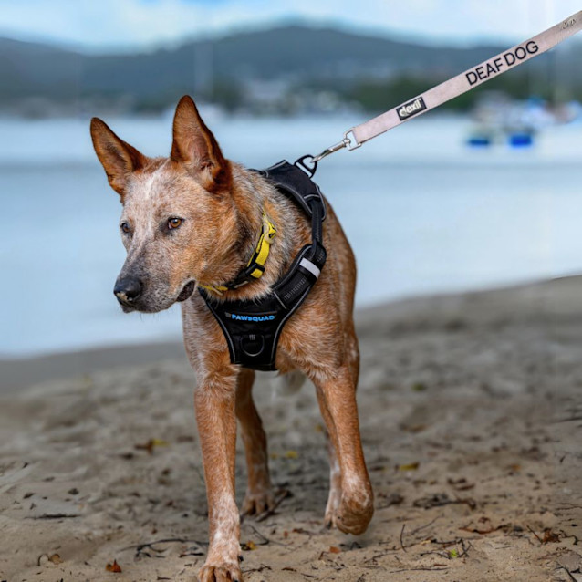 Photo of Mr Fantapants