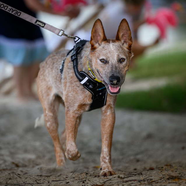 Photo of Mr Fantapants