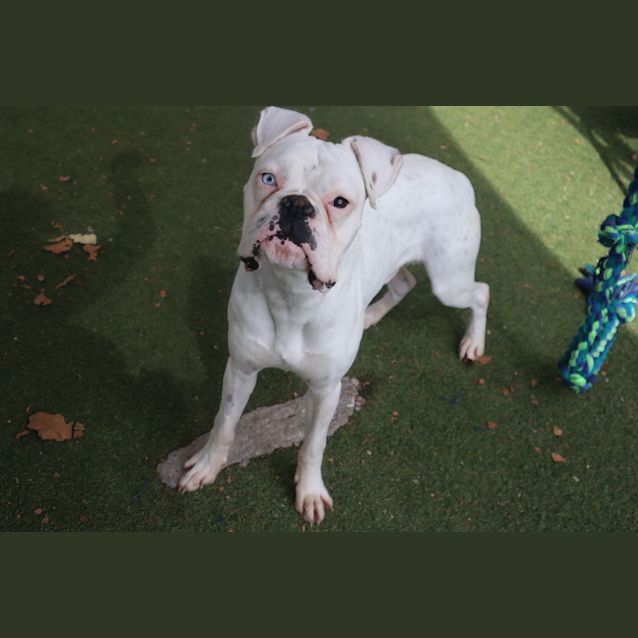 Photo of Barney