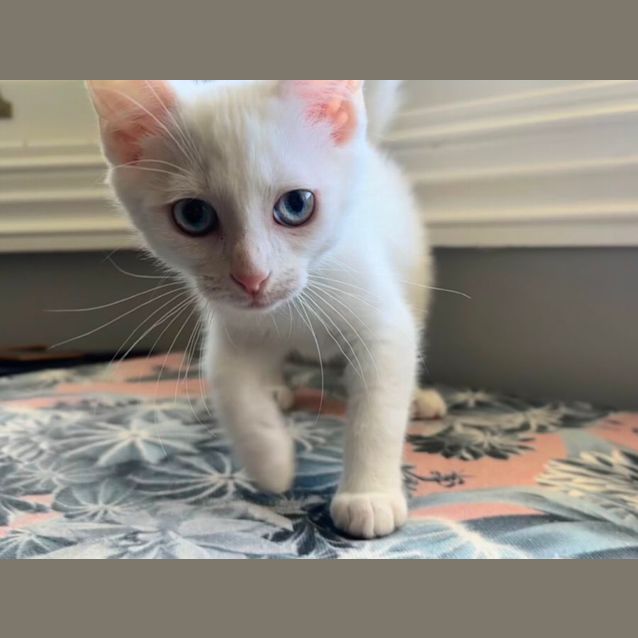 Photo of Olaf