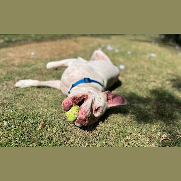 Photo of Gideon