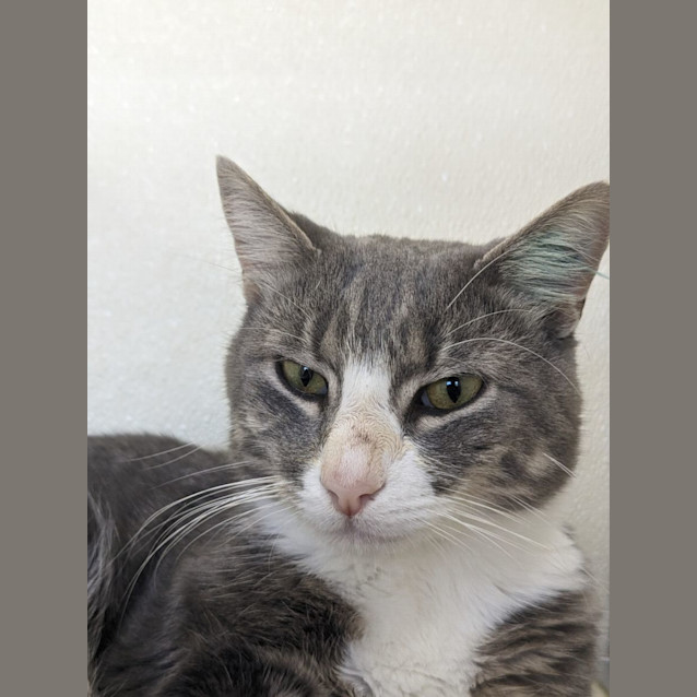 Photo of 🐻 Benji 5089 🐻