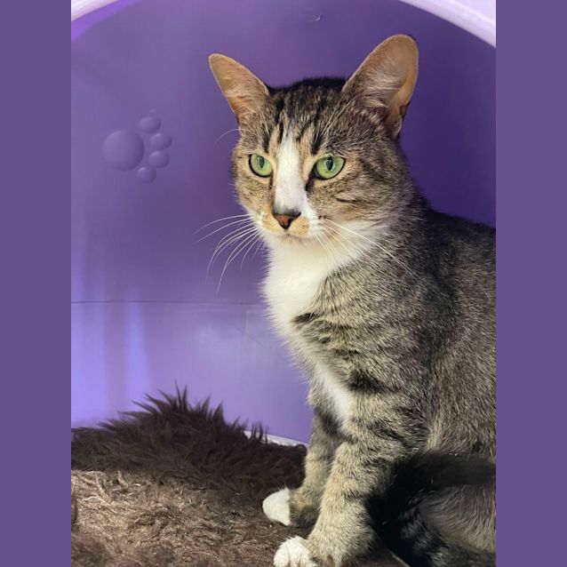 Photo of 🍭 Juno F02742 🍭