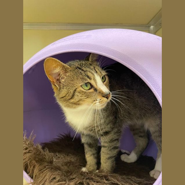 Photo of 🍭 Juno F02742 🍭