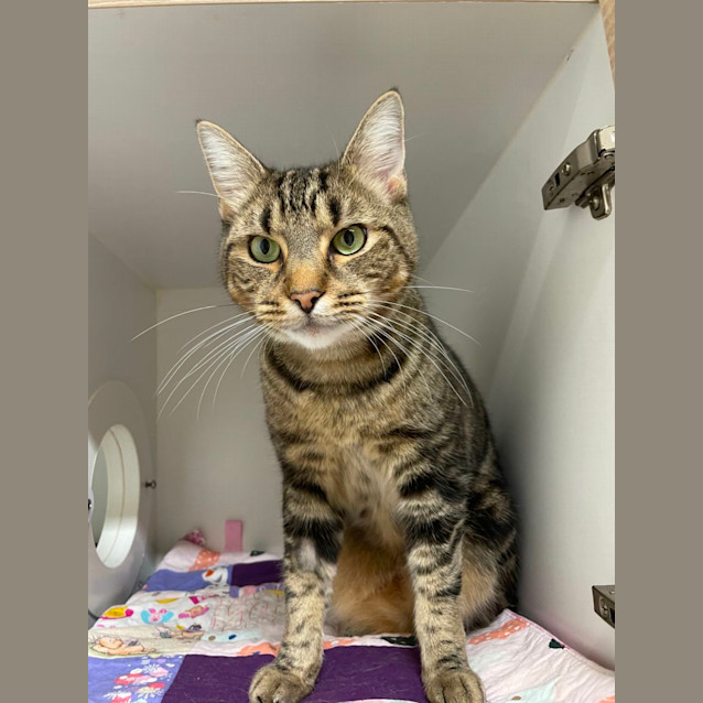 Photo of 😎 Ray F02787 😎